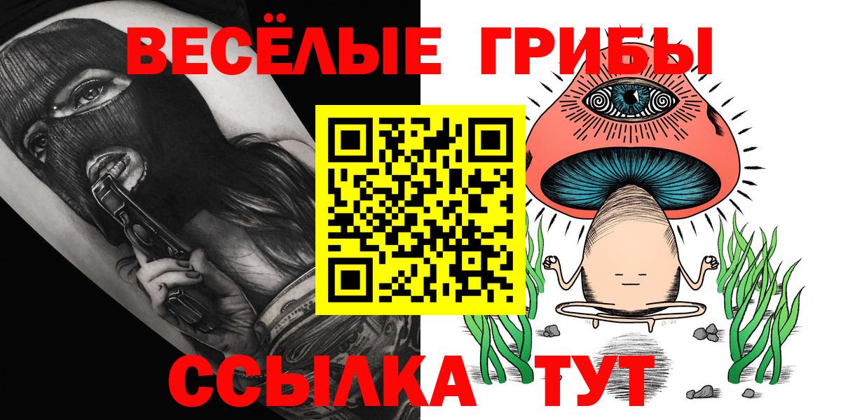 Псилоцибиновые грибы Cubensis  Вход с VPN  Котлас 